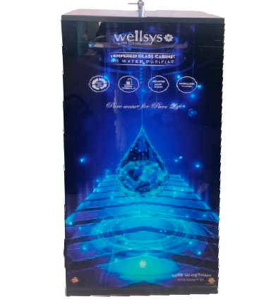 Wellsys RO Water Purifier
